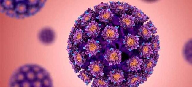 HPV - inson papillomavirusi